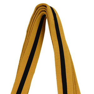 Lightweight Karate <b>Belts</b> Pakistan With Custom Embroidery And Private Label Packaging Service Premium Martial Arts <b>Belts</b> - Product Image 6