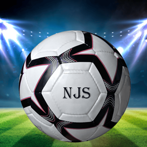 Balón de fútbol profesional tamaño 5 balón de entrenamiento y Partido de cuero PU fútbol al aire libre a granel al por mayor logotipo personalizado - Product Image 3