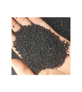 Semillas de Nigella de Primera Calidad, Sudáfrica, Stock Fresco, Suministro al por Mayor para la Industria de Procesamiento de Especias Alimentarias, EXPORTACIÓN GLOBAL - Product Image 3