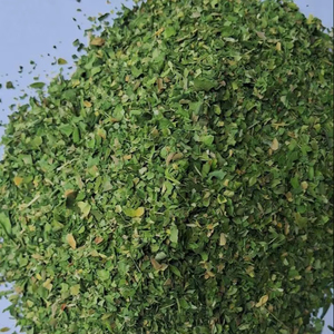 Hojas Secas de Moringa Olifera 100% Calidad de Exportación, Secadas a Máquina, Sin Tallos, Suministro al por Mayor - Product Image 1
