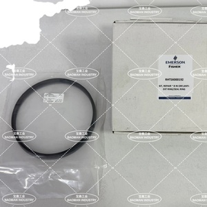 Kits de réparation Emerson Fisher RHTSX000192 8 pouces ORF, Anneau anti-extension, Anneau d'étanchéité N° de pièce 480153577 - Product Image 3