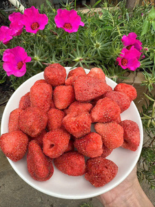 Fresas enteras liofilizadas de exportación de fábrica de Vietnam, paquete a granel para decoración de yogur, cereales y productos de panadería - Product Image 4