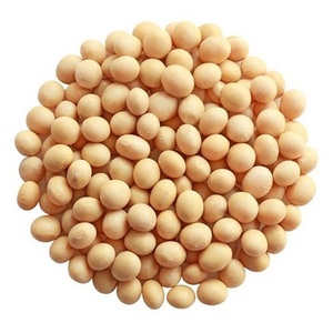 Wholesale supplier of Hot selling Organic Non-GMO <b>Soybeans</b> Fresh and Dried Yellow <b>Soybean</b> for Food Processing in Bulk Packaging - Product Image 5