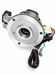 Conjunto de placa de bobina de estator Bajaj Caliber Croma, calidad de exportación para repuestos de motocicletas, India, Orado - Product Image 3