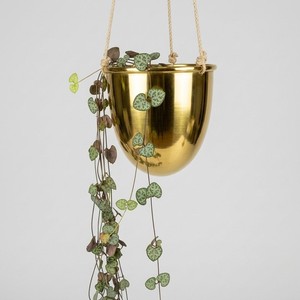 Modern Hanging Plain Metal Flower <b>Pot</b> <b>Oval</b> Pattern Electro Plated Durable Lightweight Medium Capacity for Desktop/Tabletop - Product Image 6