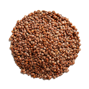 เมล็ดหัวไชเท้าพรีเมี่ยม | ส่วนผสมจากธรรมชาติสำหรับซุปและโจ๊ก - Product Image 1