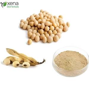 Isoflavonas de Soya de Marca Privada 40 en Polvo, Extracto Vegetal para el Bienestar Hormonal, Proveedor OEM - Product Image 1