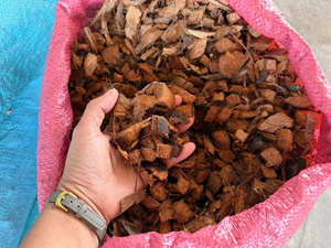 วัสดุปลูกคุณภาพพรีเมียม 0.5 EC เศษกะลามะพร้าวแบบล้างสะอาด วัสดุปลูกธรรมชาติสำหรับกล้วยไม้ ระบบไฮโดรโปนิกส์ การเพาะปลูกพืชสวน และปรับปรุงดิน - Product Image 3