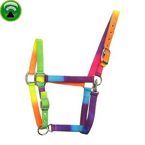 Cale de cheval en PP et nylon personnalisé Halters pour chevaux - Product Image 1