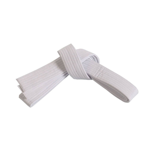 Ceinture d'arts martiaux haut de gamme, équipement personnalisé, conçue avec du tissu en coton lourd et une construction renforcée - Product Image 1