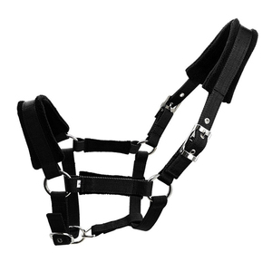 Nuevas Correas de Nylon para Caballos 2025, las Más Modernas y Cómodas, Ajustables, con Logotipo y Color Personalizados, Excelente Calidad - Product Image 1