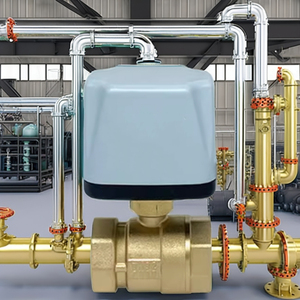 Vanne à boisseau sphérique électrique motorisée en acier inoxydable étanche IP65 C Way 1/2" 3/4" 1" 2" 220V 12V 24V 3 fils 2 points de commande - Product Image 3