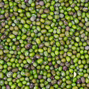 Venta al por Mayor de Frijoles Mung Verdes Vigna 100% Naturales, Calidad Premium, Suministro a Granel Seco, 50 kg, 24 Meses de Vida Útil, Grado Alimenticio UE, Austria - Product Image 2