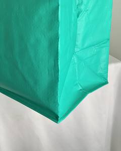 Bolsas de Polipropileno No Tejido Personalizadas de Alta Calidad con Cierre Superior y Embalaje en Caja, Nuevas, OEM/ODM, Vietnam - Product Image 6