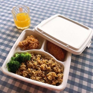 Barquette alimentaire carrée en bagasse écologique à 3 compartiments, jetable, biodégradable, pour plats à emporter, anti-fuite et sécurisée - Product Image 1