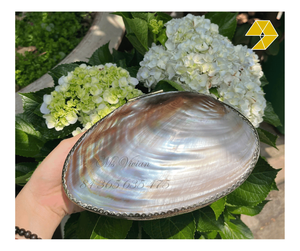 Organisateur de bijoux en nacre de luxe, boîte à bijoux en nacre pour ranger bagues et colliers, artisanat royal élégant du Vietnam - Product Image 1