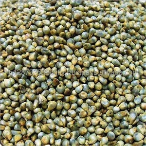 Bajra Green <b>Millet</b> Available for Sale - Product Image 1