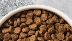 Nourriture sèche pour chiens de qualité supérieure OEM ODM, riche en protéines, mélange naturel sans céréales, pour le développement musculaire des petites races, vente en gros, nutrition pour animaux de compagnie - Product Image 4