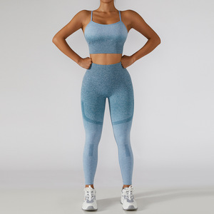 Conjunto Deportivo de 2 Piezas para Mujer, Transpirable, Sin Costuras, de Spandex/Nailon, Ecológico, de Secado Rápido, para Correr en Interiores, Fitness y Yoga - Product Image 3