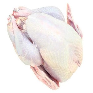 Poulet entier congelé halal de haute qualité à 100 %, vente en gros d'usine, poulet entier congelé de qualité supérieure - Product Image 1