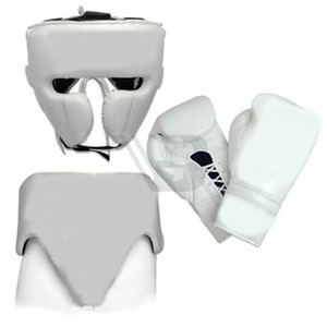 Fully Customized Lightweight Durable Shock-Absorbing Non-Slip High Quality OEM ODM Boxing Gloves & <b>Focus</b> <b>Pads</b> Sets - Product Image 2