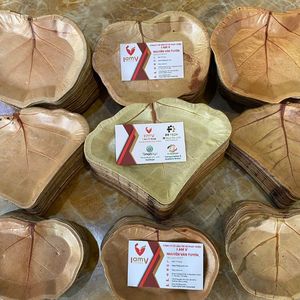 Assiettes jetables biodégradables et compostables en feuille de palmier de 10 pouces, lot de 50, pour fêtes et traiteurs – Vente Flash - Product Image 4