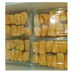 เนื้อมะพร้าวแช่แข็งธรรมชาติ ผลไม้เมืองร้อน สำหรับสมูทตี้ ของหวาน และการผลิตอาหาร - Product Image 4