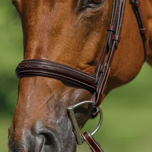 High Quality Brown English Leather Horse Bridle Comfortable Tack Sets Everyday Riding Customizable - Product Image 3