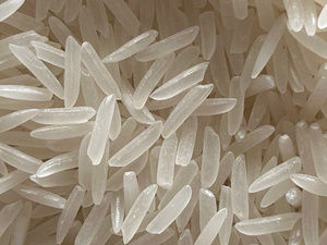 ข้าวขาวเวียดนามเกรดพรีเมียม ST25 แบบเมล็ดยาว ไม่ใช่พืช GMO กลิ่นหอม คุณภาพสูง บริสุทธิ์ เหมาะสำหรับผู้นำเข้าข้าว - Product Image 6