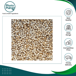 Graines de sésame nettoyées et séchées de qualité supérieure, dernières nouveautés, pour collations, assaisonnements et fabrication alimentaire, à bon prix - Product Image 2