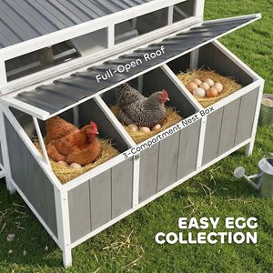 Pollaio in Legno da Esterno per 4-6 Galline con Nido e Vassoio Estraibile, Tetto Impermeabile - Gabbia per Galline - Product Image 6