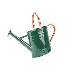 Best Seller Indoor and Outdoor Plants Watering Can Decorative Metal Water <b>Cane</b> Green Color <b>Garden</b> Planter Holder - Product Image 1