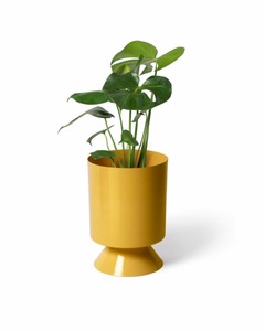 Maceta Moderna de Metal Amarillo, Diseño Minimalista, Soporte para Plantas de Interior, Decoración de Escritorio, Acabado con Recubrimiento en Polvo - Product Image 3