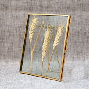 Elegant Modern Gold Metal Photo <b>Frame</b> Clear Glass Freestanding Hanging <b>Picture</b> Display Stand Premium Home Decor Gift - Product Image 2