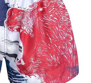 Pantalones Cortos de Muay Thai Premium, Ligeros, Elásticos y Transpirables, para Entrenamiento de MMA y Boxeo, para Hombre, 100% Poliéster - Product Image 6