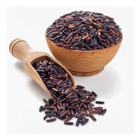 Riz noir supérieur, riz entier riche en antioxydants pour la fabrication alimentaire et les acheteurs internationaux