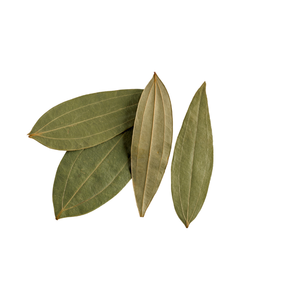 Feuilles de Tej Patta indiennes de qualité supérieure, feuilles de laurier séchées, épice naturelle pour la marinade de Biryani et de Curry, et approvisionnement en vrac pour l'exportation - Product Image 6