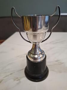 Trophée métallique professionnel très demandé avec impression de logo pour l'image de marque d'entreprise, disponible au prix d'usine - Product Image 3