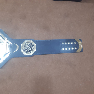 Cinturón de Campeonato UFC Legacy - Zinc/Cuero, Cintura Alta, 4mm de Grosor, Duradero - Product Image 3