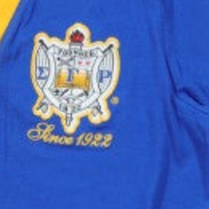 Cardigan Léger Personnalisé Sigma Gamma Rho Unisexe – Pull Décontracté à Boutons pour Sororité Grecque – Veste Tricotée SGRho Personnalisée - Product Image 3