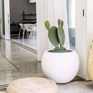 Bac à légumes surélevé en bois, style rustique, pour l'extérieur, pour légumes et plantes vertes - Product Image 2