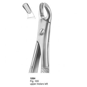 คีมถอนฟัน รุ่น Fig. ฟันกรามบนซ้าย 103 ซี่ (แบบอังกฤษ) |   สแตนเลสเกรดพรีเมียม - Product Image 3