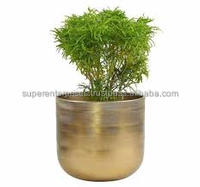 Pots de plantes Cactus Finitions martelées en laiton Pots de fleurs flottants Intérieur et extérieur Maison Jardin Planteur Noël Thanksgiving Cadeaux
