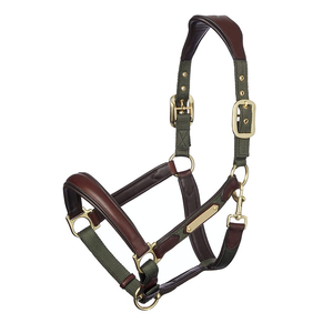 Harnais en cuir pour cheval avec boucles en laiton et sangle verte pour l'équitation et l'entraînement - Product Image 1