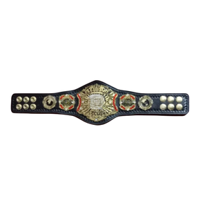 Cinturón de Campeón Mundial con Correa Negra y Detalles en Dorado y Rojo, Cinturones de Título Coleccionables Premium - Product Image 1
