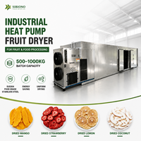 Industriële warmtepomp voedseldroger SUS304 commerciële fruit- en groentedroger voor mango, banaan, ananas, chili en vlees