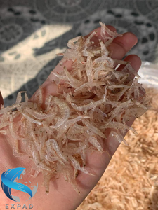 Dried Baby <b>Shrimp</b> Food Grade for Cooking and Seasoning Ingredients - Product Image 4