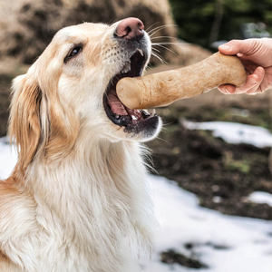 PALITOS Masticables de Madera de Café de Alta Calidad para Perros - Juguetes Naturales para Limpieza Dental y Premios para Mascotas - Product Image 1