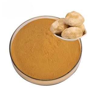 Extracto Premium de Melena de León 10:1, 100% Puro y Natural, Polvo Herbal de Melena de León para Café, Smoothies y Recetas Herbales - Product Image 1