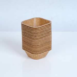 Tazón Desechable de Cáscara de Arroz de 180 ml, Recipiente Biodegradable de Fibra Natural para Alimentos, para Servir Ensaladas y Guarniciones, Vajilla Compostable - Product Image 1